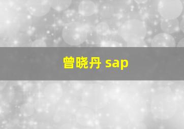 曾晓丹 sap